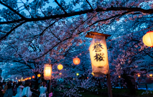東京の夜桜ライトアップを巡る旅:幻想的な春を満喫するコツ
