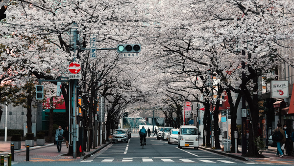 東京発・気ままドライブ完全案内――デートも家族旅行も“1時間半圏”で叶えるベストルート