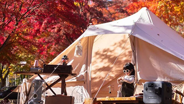 関西の紅葉スポット14選を紹介!紅葉の時期はいつ?