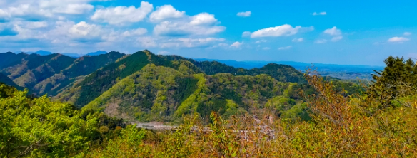 【登山初心者に最適な出発点】高尾山への旅