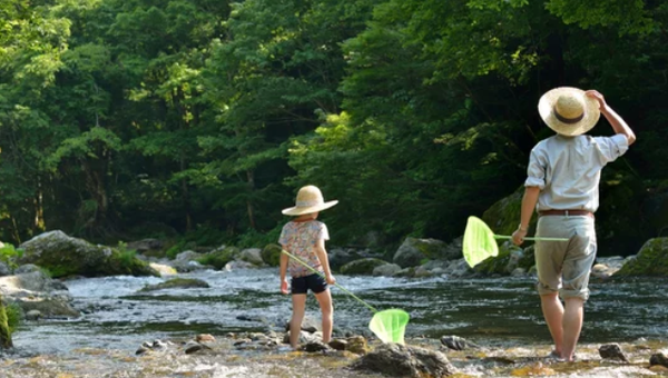 神奈川で川遊びを満喫|地元民おすすめの穴場&人気スポット完全ガイド