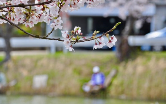 【4月の釣り必見】おすすめスポットと釣れる魚の種類
