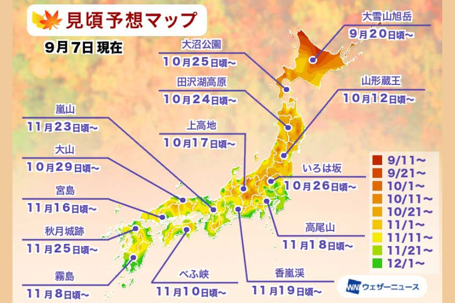 紅葉予想