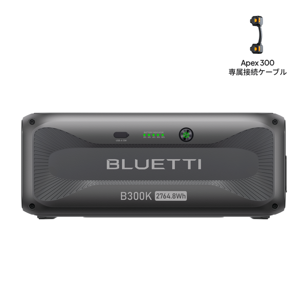 B300K_95ca9dfd-1ed6-4866-aa1f-