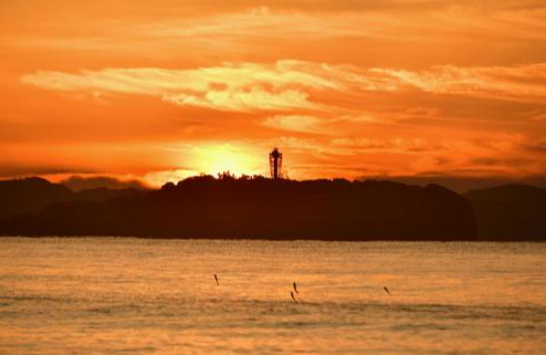 神奈川の初日の出スポット2026おすすめ7選！穴場・定番徹底ガイド