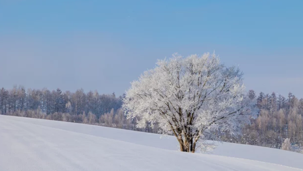 【2026年】冬の北海道を徹底ガイド｜銀世界の絶景・イベント・グルメを満喫する旅へGO!