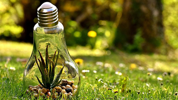 電力自由化のデメリット 新電力は質が悪い？すぐ停電するって本当？