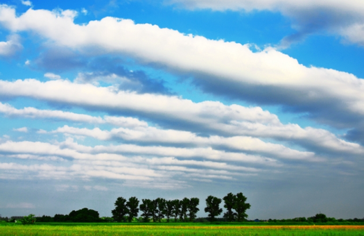 地震雲とは？種類や特徴を解説｜科学的根拠と防災対策も紹介