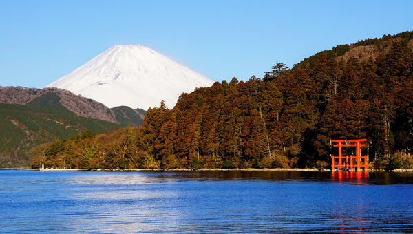 冬の箱根観光で絶対に行きたい絶景・温泉・グルメ完全ガイド