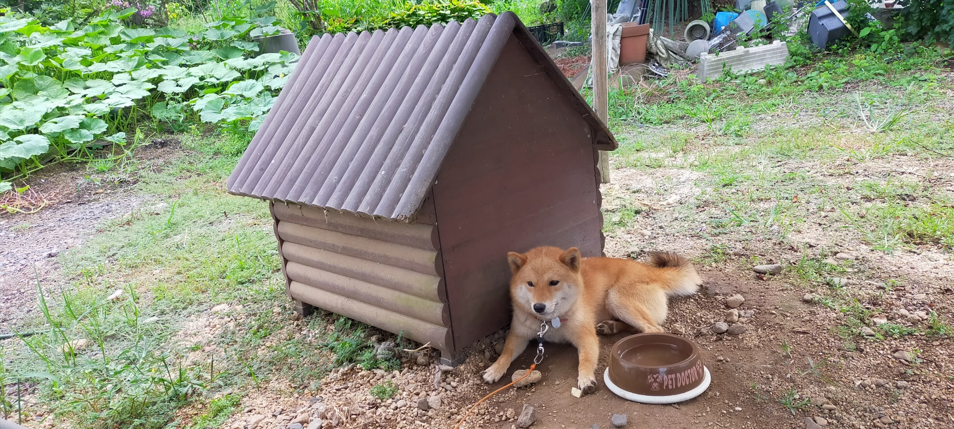 犬小屋DIYの作り方！利用できる100均グッズや室内用の作成ポイントとは 