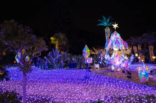 【2026最新】関東イルミネーション15選｜定番から穴場まで完全ガイド