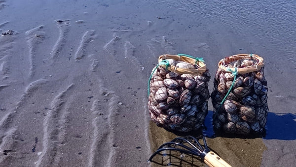 潮干狩りアイテム完全ガイド｜初心者から家族まで安心して楽しむ準備とは