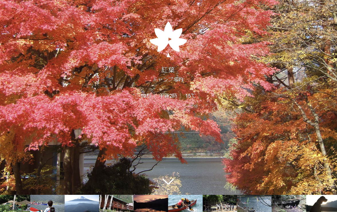 山梨県の紅葉台キャンプ場の紅葉風景