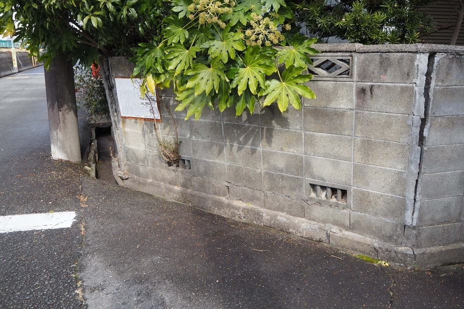 地震時に避けるべき危険な行動を説明する画像