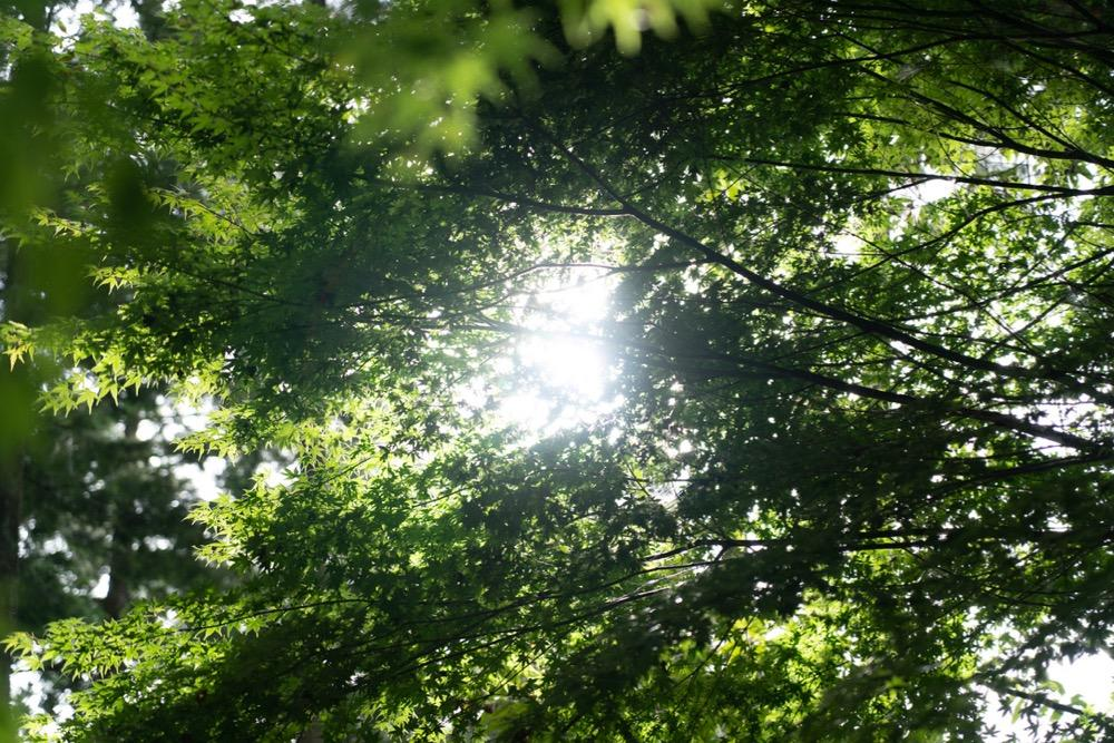 山の中のキャンプ場