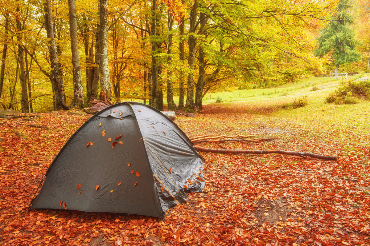 紅葉に囲まれたキャンプ場の風景